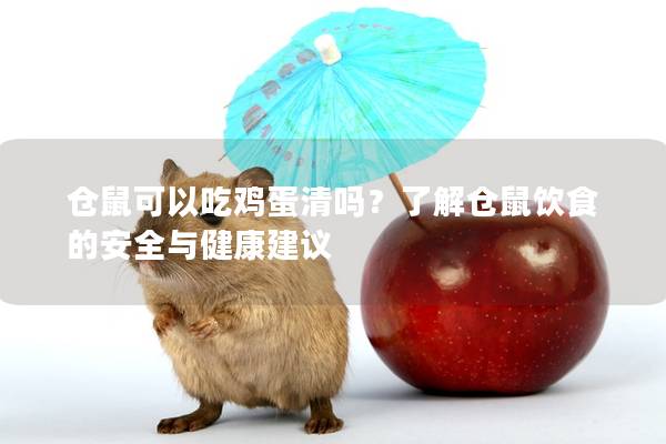 仓鼠可以吃鸡蛋清吗？了解仓鼠饮食的安全与健康建议