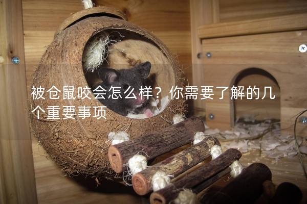 被仓鼠咬会怎么样？你需要了解的几个重要事项