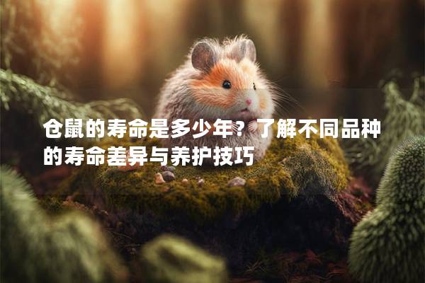 仓鼠的寿命是多少年？了解不同品种的寿命差异与养护技巧
