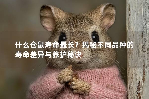 什么仓鼠寿命最长？揭秘不同品种的寿命差异与养护秘诀
