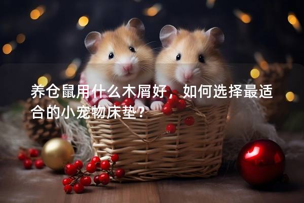 养仓鼠用什么木屑好，如何选择最适合的小宠物床垫？