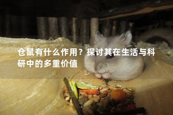 仓鼠有什么作用？探讨其在生活与科研中的多重价值