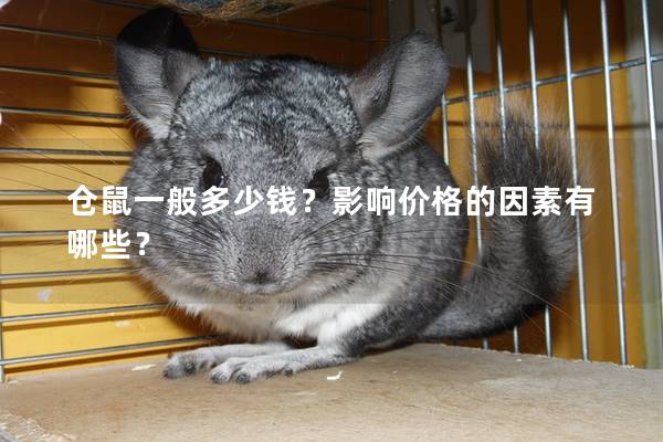 仓鼠一般多少钱？影响价格的因素有哪些？