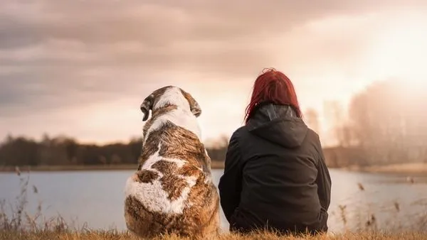 Pet Skin Disease Care: Causes, Signs and Treatment Pet Skin Disease Care: Causes, Signs and Treatment - 配图2