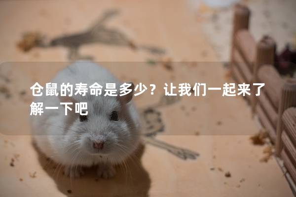 仓鼠的寿命是多少？让我们一起来了解一下吧