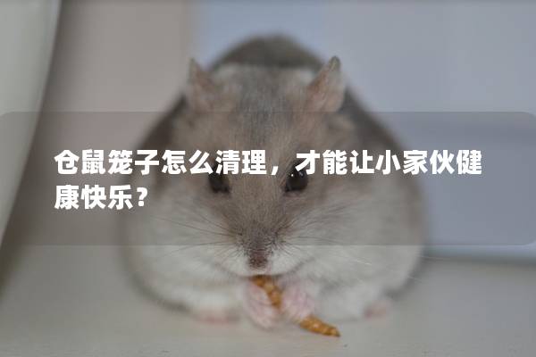 仓鼠笼子怎么清理，才能让小家伙健康快乐？