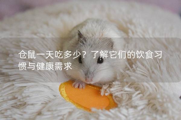 仓鼠一天吃多少？了解它们的饮食习惯与健康需求