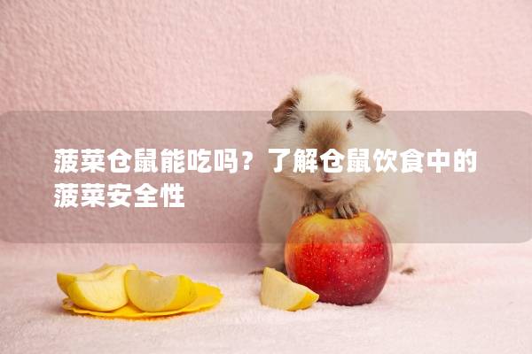 菠菜仓鼠能吃吗？了解仓鼠饮食中的菠菜安全性