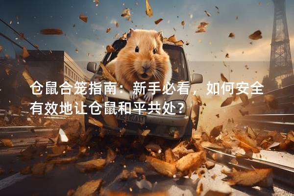 仓鼠合笼指南：新手必看，如何安全有效地让仓鼠和平共处？