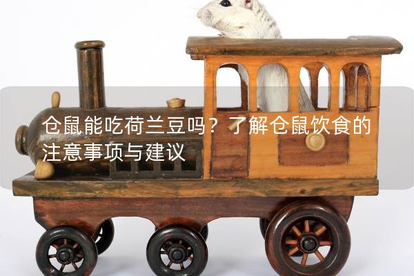 仓鼠能吃荷兰豆吗？了解仓鼠饮食的注意事项与建议