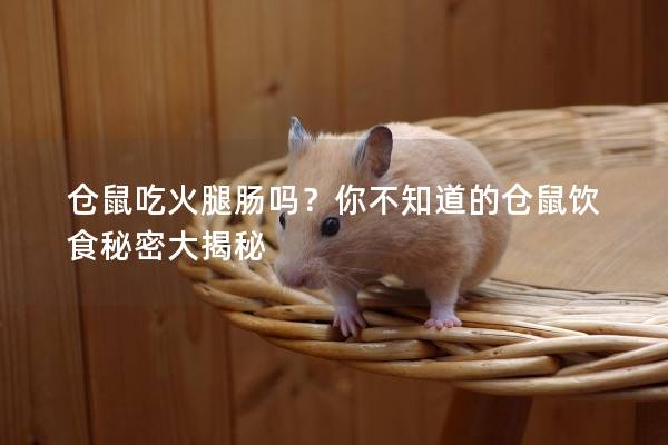 仓鼠吃火腿肠吗？你不知道的仓鼠饮食秘密大揭秘
