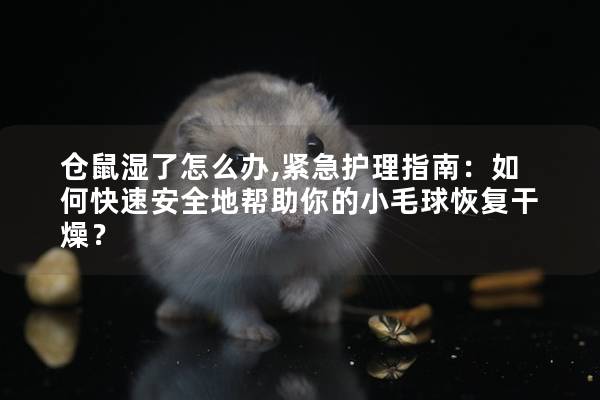 仓鼠湿了怎么办,紧急护理指南：如何快速安全地帮助你的小毛球恢复干燥？