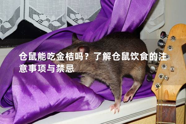 仓鼠能吃金桔吗？了解仓鼠饮食的注意事项与禁忌