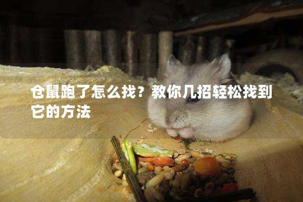 仓鼠跑了怎么找？教你几招轻松找到它的方法