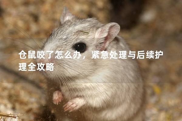 仓鼠咬了怎么办，紧急处理与后续护理全攻略
