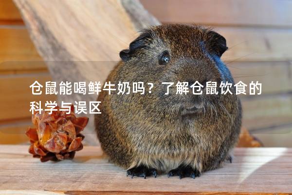 仓鼠能喝鲜牛奶吗？了解仓鼠饮食的科学与误区