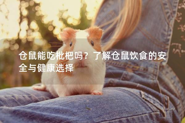 仓鼠能吃枇杷吗？了解仓鼠饮食的安全与健康选择