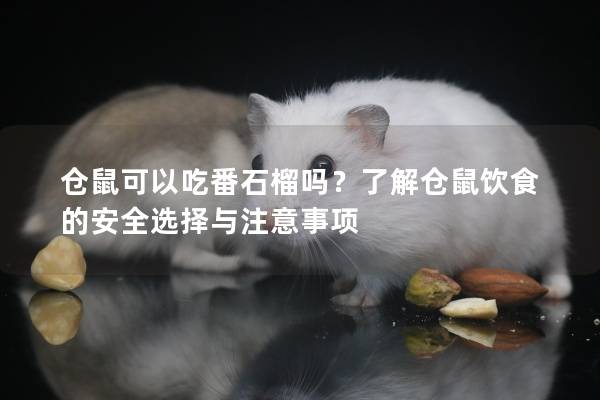 仓鼠可以吃番石榴吗？了解仓鼠饮食的安全选择与注意事项