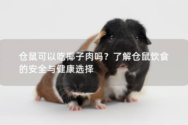 仓鼠可以吃椰子肉吗？了解仓鼠饮食的安全与健康选择