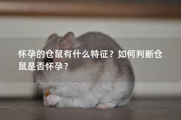 怀孕的仓鼠有什么特征？如何判断仓鼠是否怀孕？