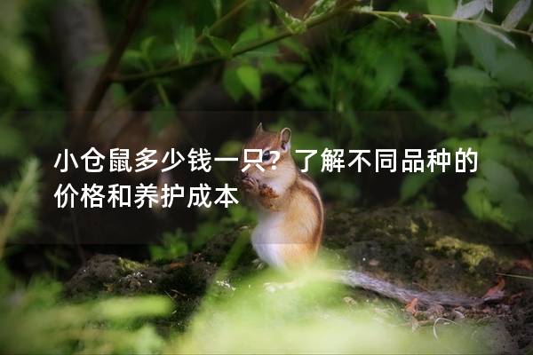 小仓鼠多少钱一只？了解不同品种的价格和养护成本