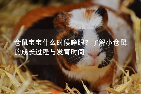 仓鼠宝宝什么时候睁眼？了解小仓鼠的成长过程与发育时间