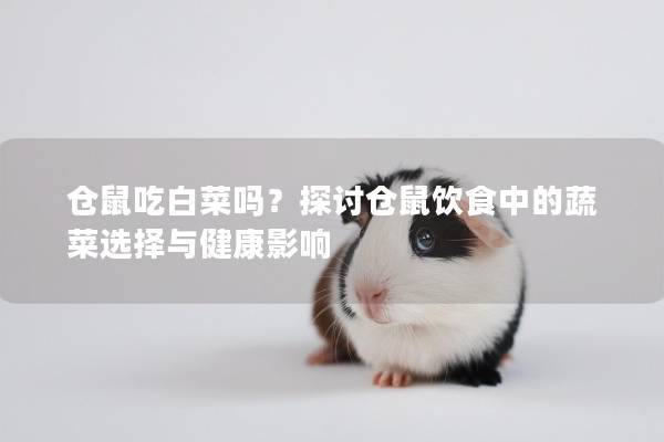 仓鼠吃白菜吗？探讨仓鼠饮食中的蔬菜选择与健康影响