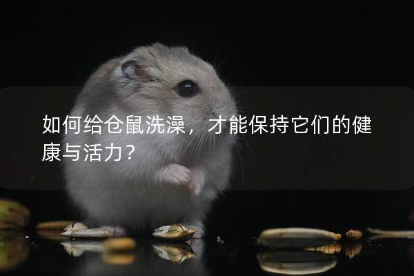 如何给仓鼠洗澡，才能保持它们的健康与活力？