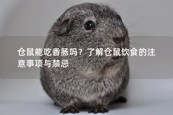 仓鼠能吃香肠吗？了解仓鼠饮食的注意事项与禁忌