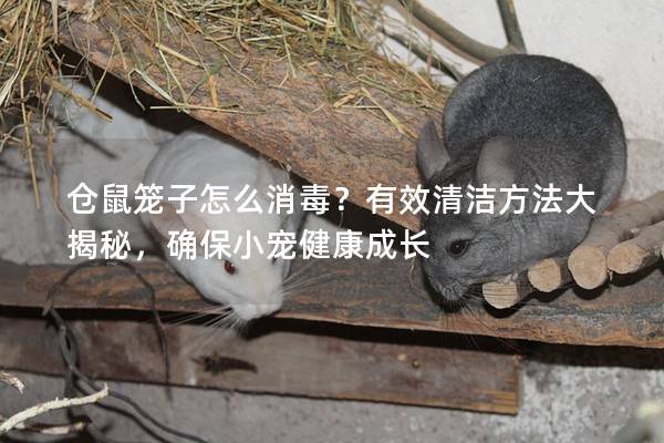 仓鼠笼子怎么消毒？有效清洁方法大揭秘，确保小宠健康成长