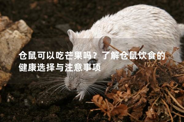 仓鼠可以吃芒果吗？了解仓鼠饮食的健康选择与注意事项