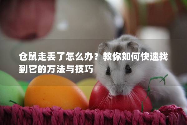 仓鼠走丢了怎么办？教你如何快速找到它的方法与技巧