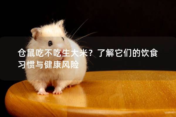 仓鼠吃不吃生大米？了解它们的饮食习惯与健康风险