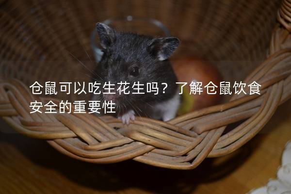 仓鼠可以吃生花生吗？了解仓鼠饮食安全的重要性