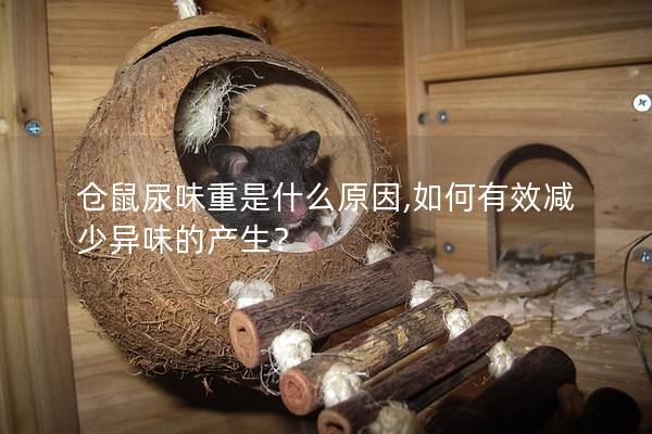 仓鼠尿味重是什么原因,如何有效减少异味的产生？