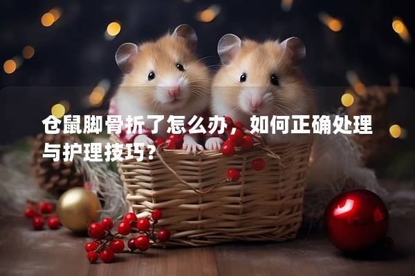 仓鼠脚骨折了怎么办，如何正确处理与护理技巧？