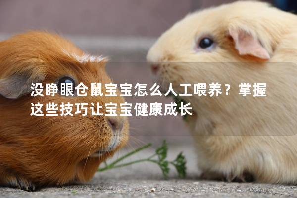 没睁眼仓鼠宝宝怎么人工喂养？掌握这些技巧让宝宝健康成长