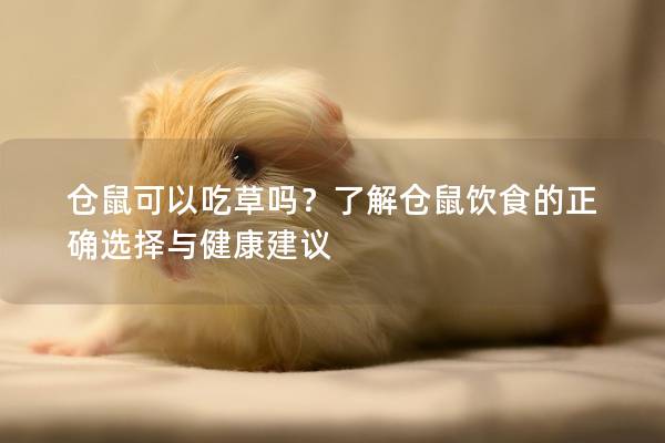 仓鼠可以吃草吗？了解仓鼠饮食的正确选择与健康建议