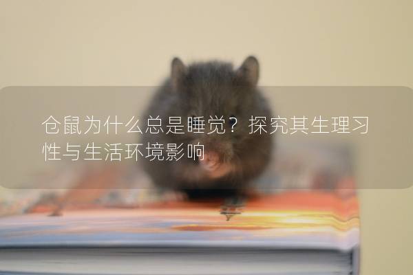 仓鼠为什么总是睡觉？探究其生理习性与生活环境影响