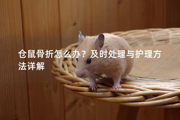 仓鼠骨折怎么办？及时处理与护理方法详解