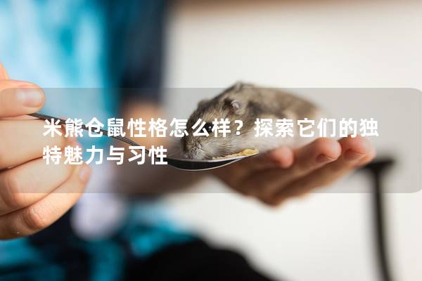 米熊仓鼠性格怎么样？探索它们的独特魅力与习性