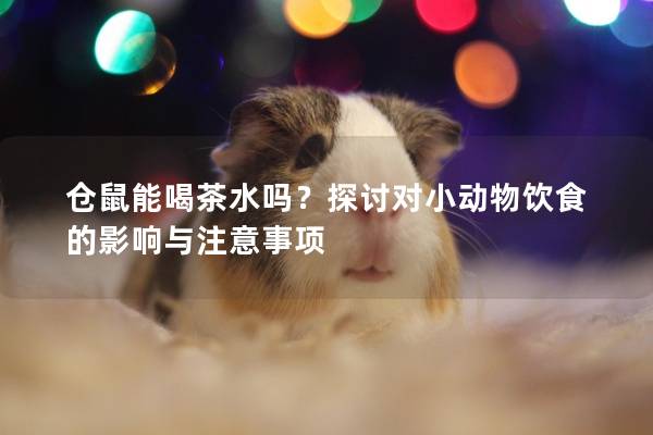 仓鼠能喝茶水吗？探讨对小动物饮食的影响与注意事项