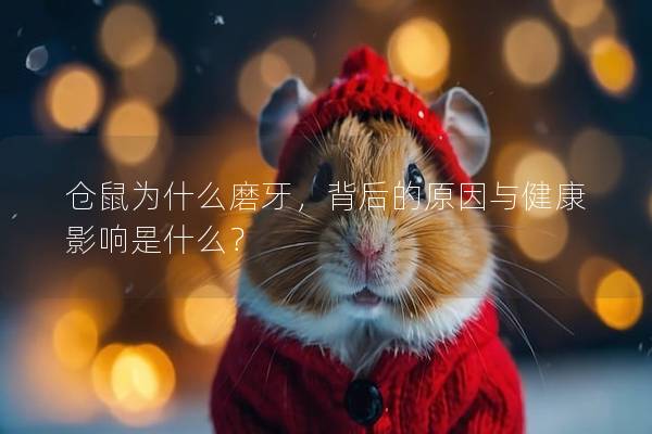 仓鼠为什么磨牙，背后的原因与健康影响是什么？