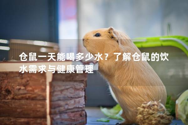 仓鼠一天能喝多少水？了解仓鼠的饮水需求与健康管理
