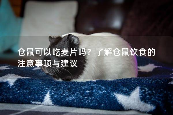 仓鼠可以吃麦片吗？了解仓鼠饮食的注意事项与建议