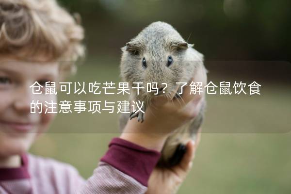 仓鼠可以吃芒果干吗？了解仓鼠饮食的注意事项与建议