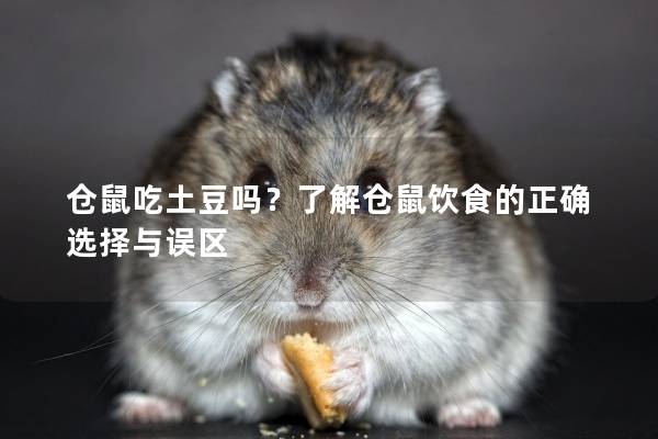 仓鼠吃土豆吗？了解仓鼠饮食的正确选择与误区