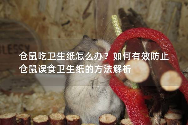 仓鼠吃卫生纸怎么办？如何有效防止仓鼠误食卫生纸的方法解析