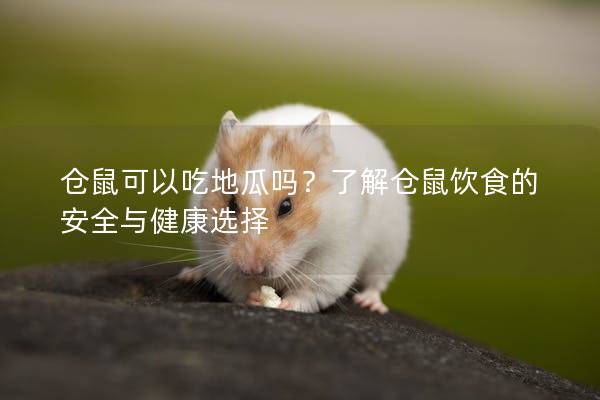 仓鼠可以吃地瓜吗？了解仓鼠饮食的安全与健康选择