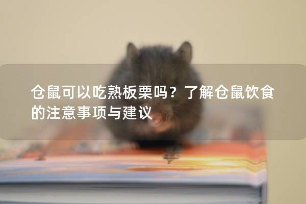 仓鼠可以吃熟板栗吗？了解仓鼠饮食的注意事项与建议